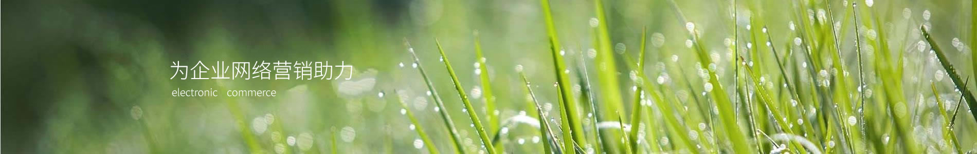 ŵݱʶƼ人޹˾